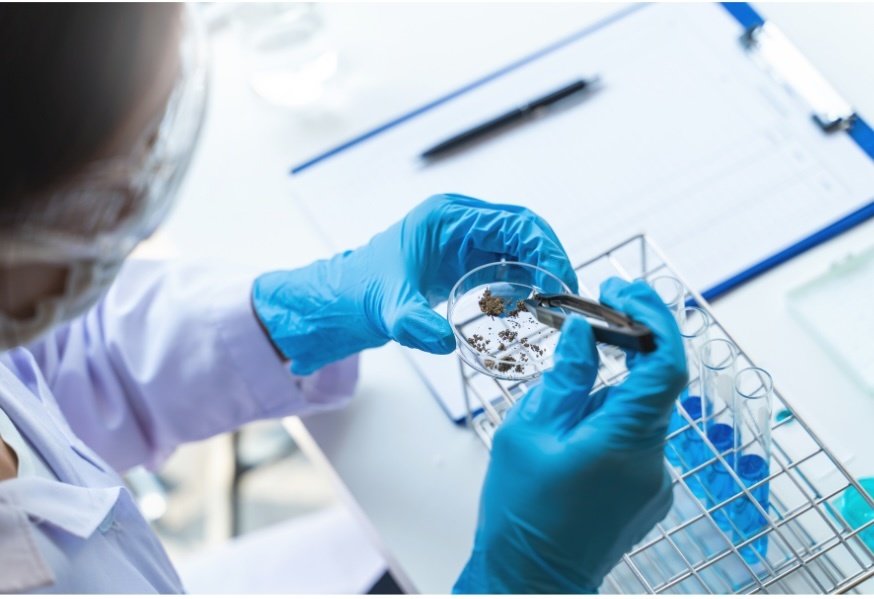 Life Science Life Science